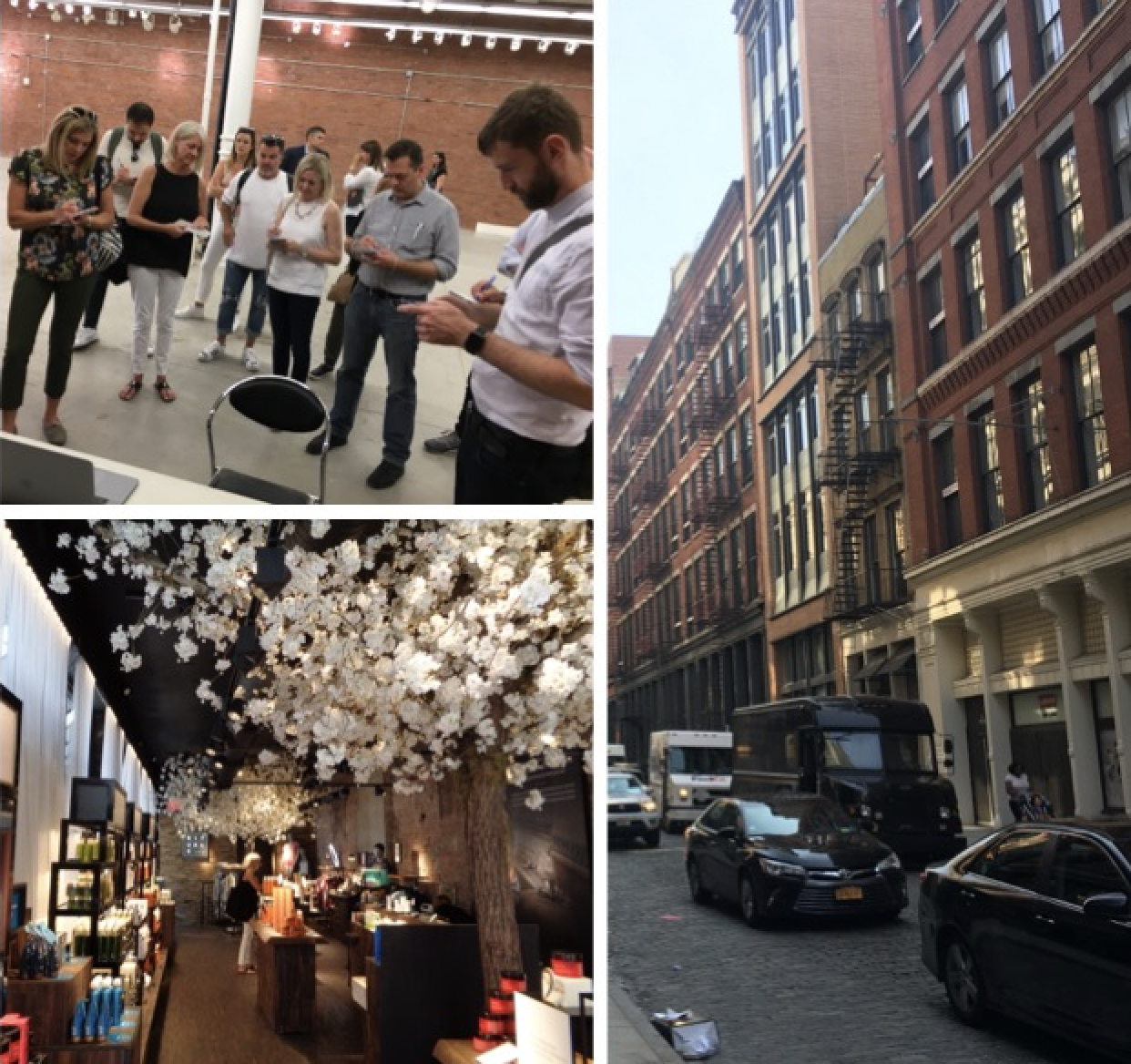 Trend Trek NYC — Phase 1